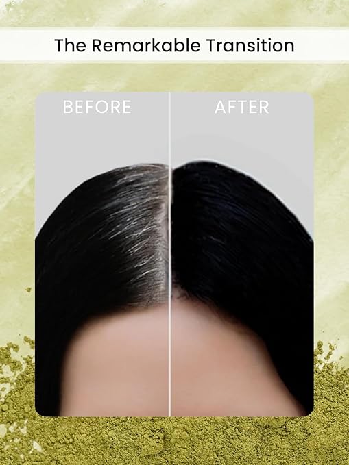 The Wellness Shop - Organic Black Hair Color (Henna) - 100 gms
