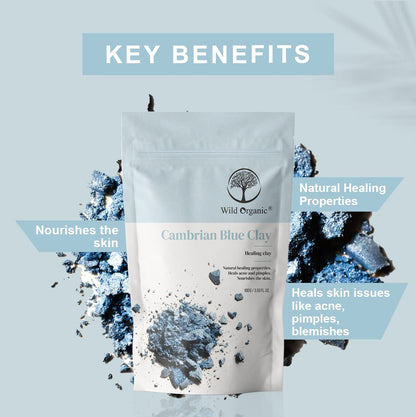 Wild Organic Cambrian Blue Clay Powder - 100 gms