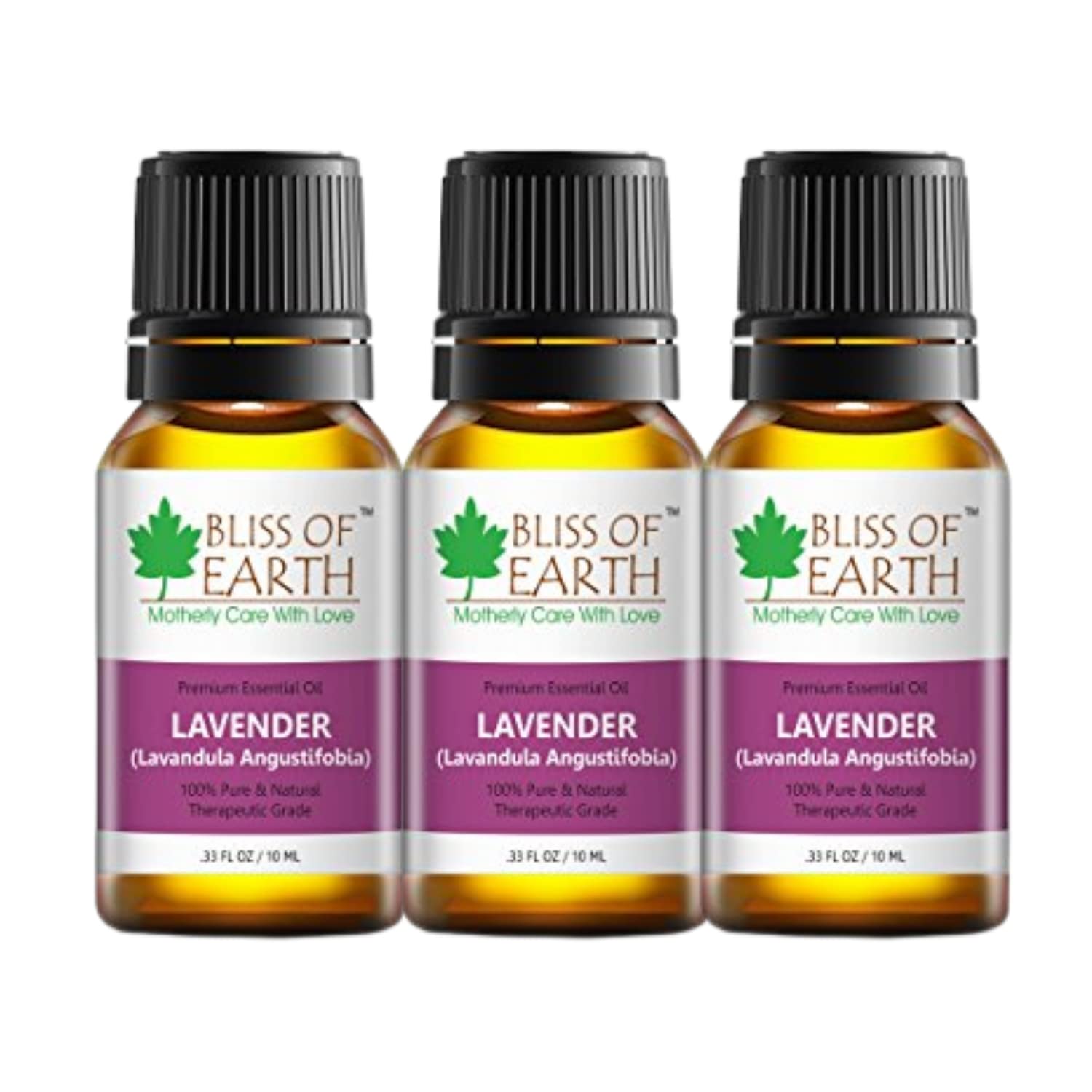 Bliss of Earth Premium Lavender Spain Lavandula Angustifobia Essential Oil - 10 ml Each (Pack of 3)