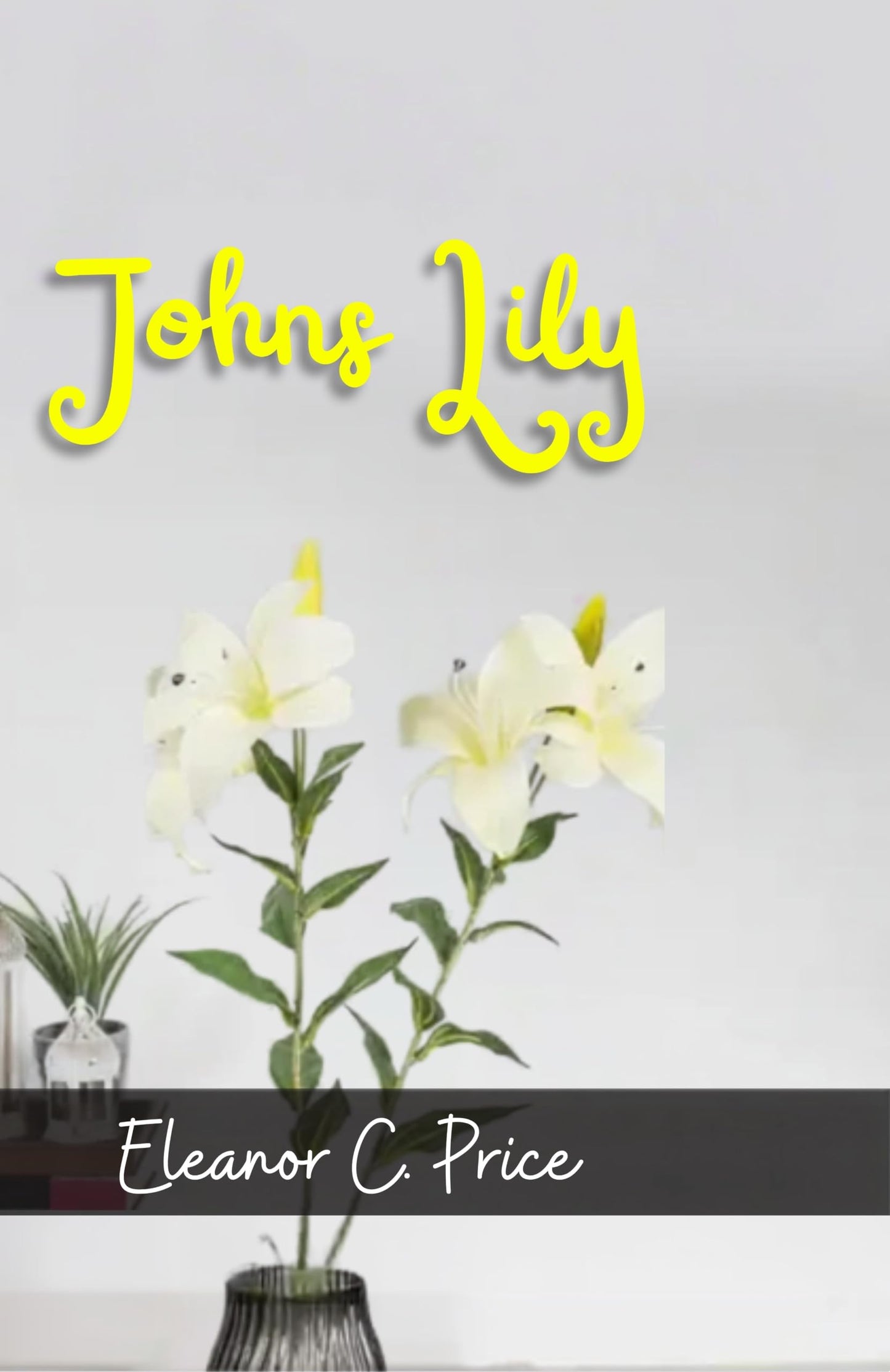 Johns Lily - Eleanor C. Price