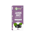 Nutriorg Jamun Juice - 500 ml