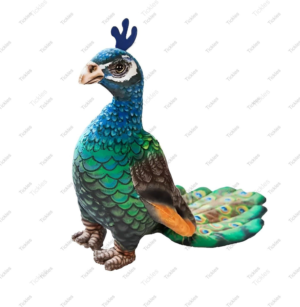 Tickles Beautiful Peafowl Peacock Zoo Bird Soft Stuffed Plush Toy for Kids Color Multicolor