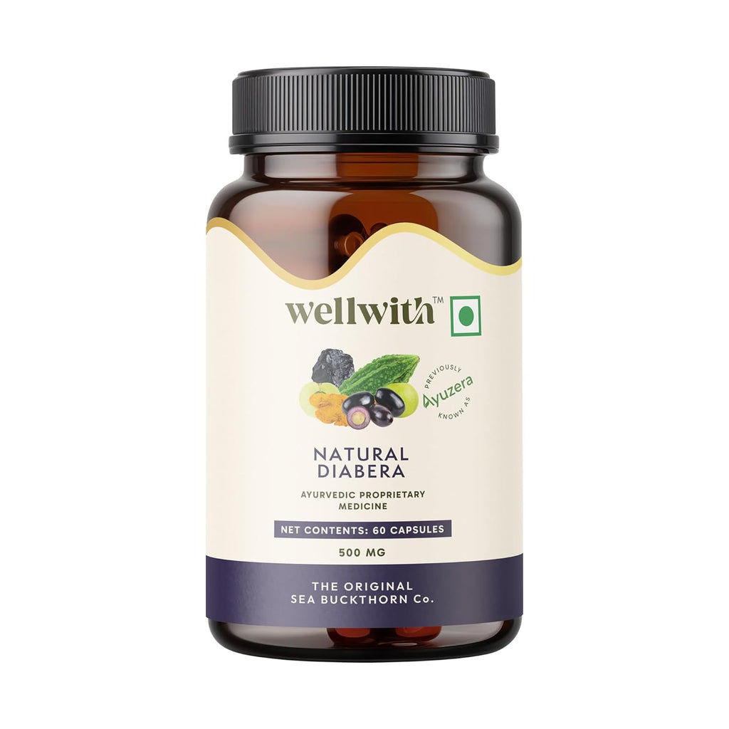 Wellwith Diabera 500mg â€“ 60 Veg Capsules (Pack of 1) | Blood Sugar Support Capsules with Jamun, Karela, Gudmar, Methi Beej, Triphala | Herbal Formula for Sugar Control & Metabolism