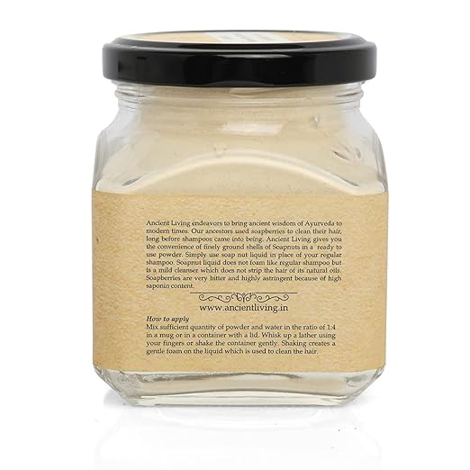 Ancient Living Soapnut Hair Cleanser Organic Shampoo - 100 gms (Pack of 2)