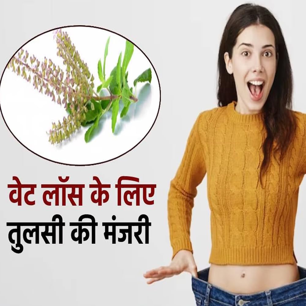 Namoorgaincs- Tulsi Seeds For eating - 150g - Manjari beej For Weightloss - Shyama Tulsi (Edible) - Krishna Basil Seeds