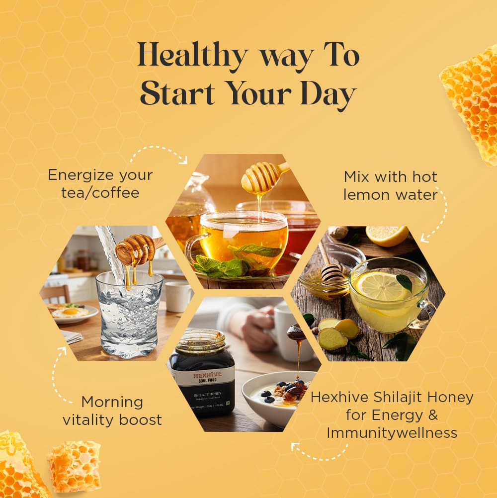 Hexhive Shilajit Honey | Raw Forest Honey | Himalayan Multifloral Honey Infused with Shilajit Extract | Energy & Vitality Boost | Immunity & Mental Clarity Support | No Added Sugar | 250g