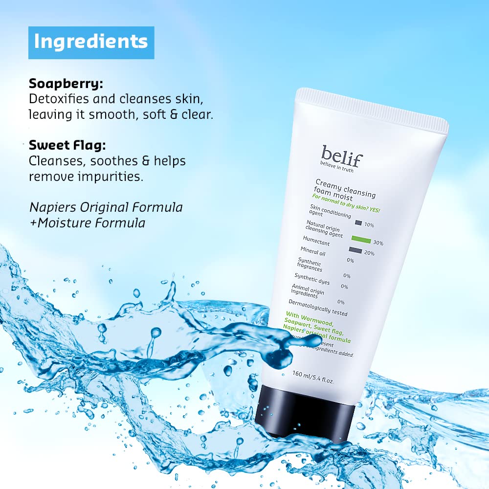 Belif Creamy Cleansing Foam 160ml