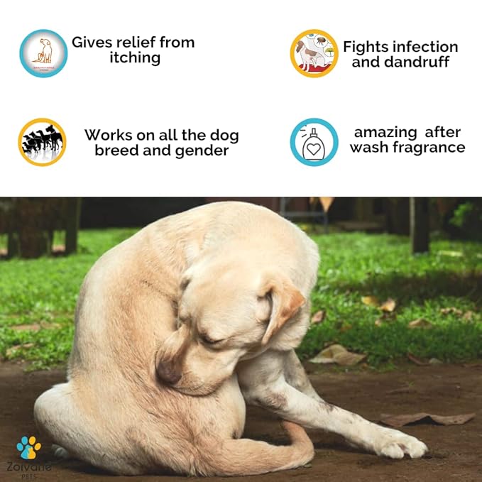 Zoivane Dog Shampoo | Ditch to Itch & Dog Anti Dandruff Shampoo 400 Ml | Pet Shampoo for Dogs | Pack of 1