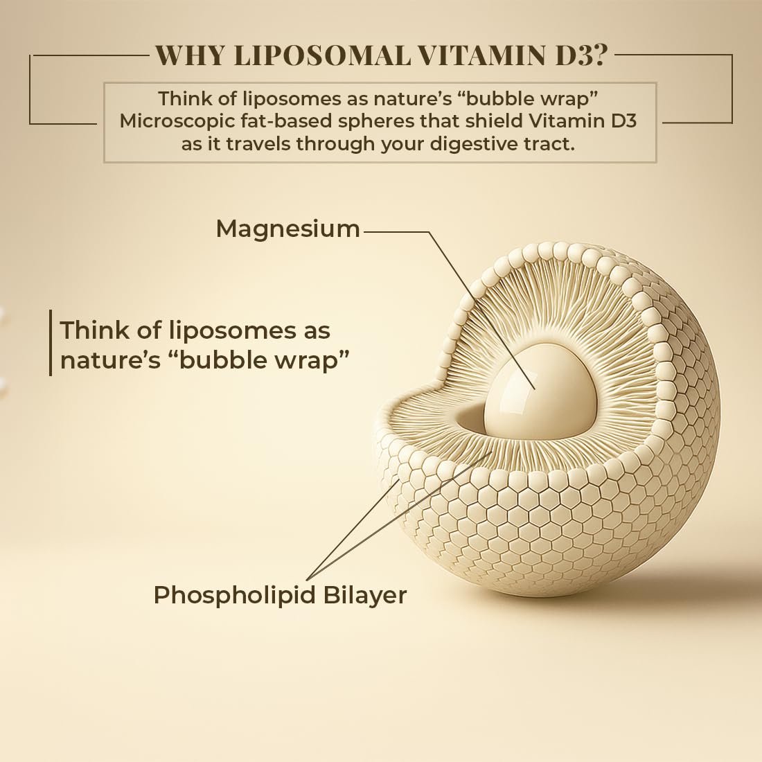 BeastLife Liposomal Vitamin D3 Plus with Vitamin A & Vitamin K2 | for Immune Support, Bone Health & Absorption | Skin Support | Calcium Utilization & Arterial Health |Max Bioavailability | 60 Capsules