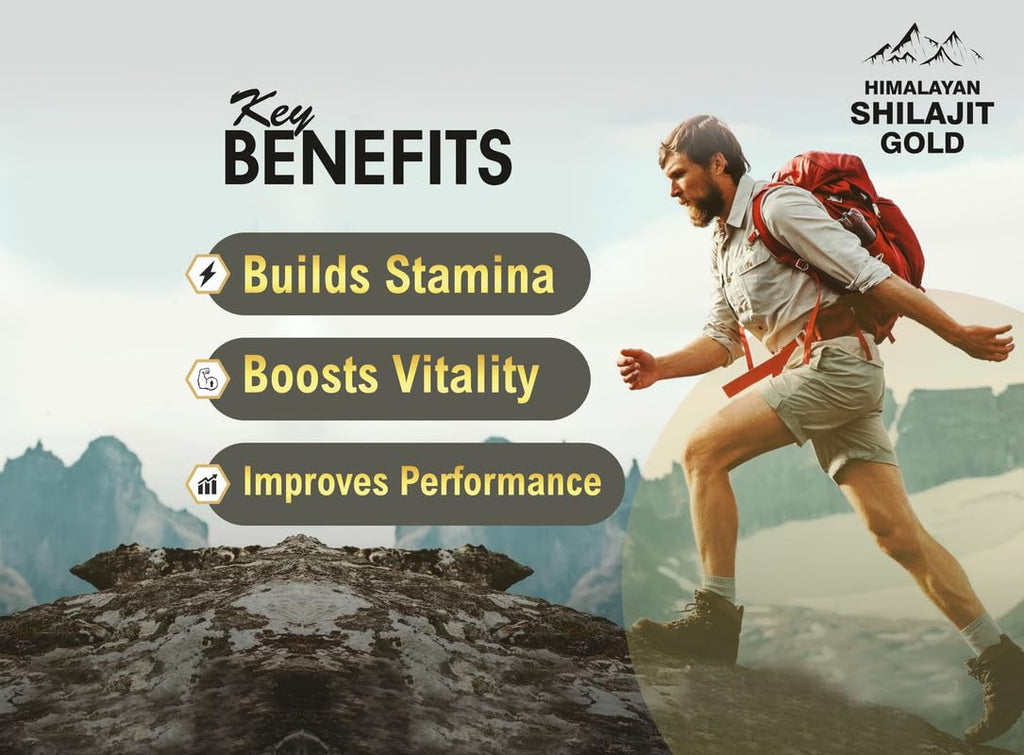 Himalayan Shilajit Gold Fizz 15 Effervescent Tablets (Orange Flavour, 500mg, Pack of 1) | With Ashwagandha, Gokshura & Safed Musli for Strength