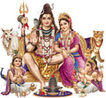 Rangoli White Glossy Vinyl Wall Sticker Premium Self-Adhesive Waterproof Parent-13 Design-24