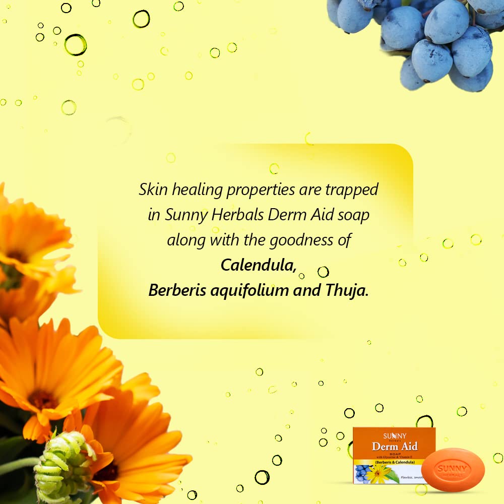 Sunny Herbals Derm Aid Soap For Rashes and Infection Free Skin - 75 gms (Pack of 4)