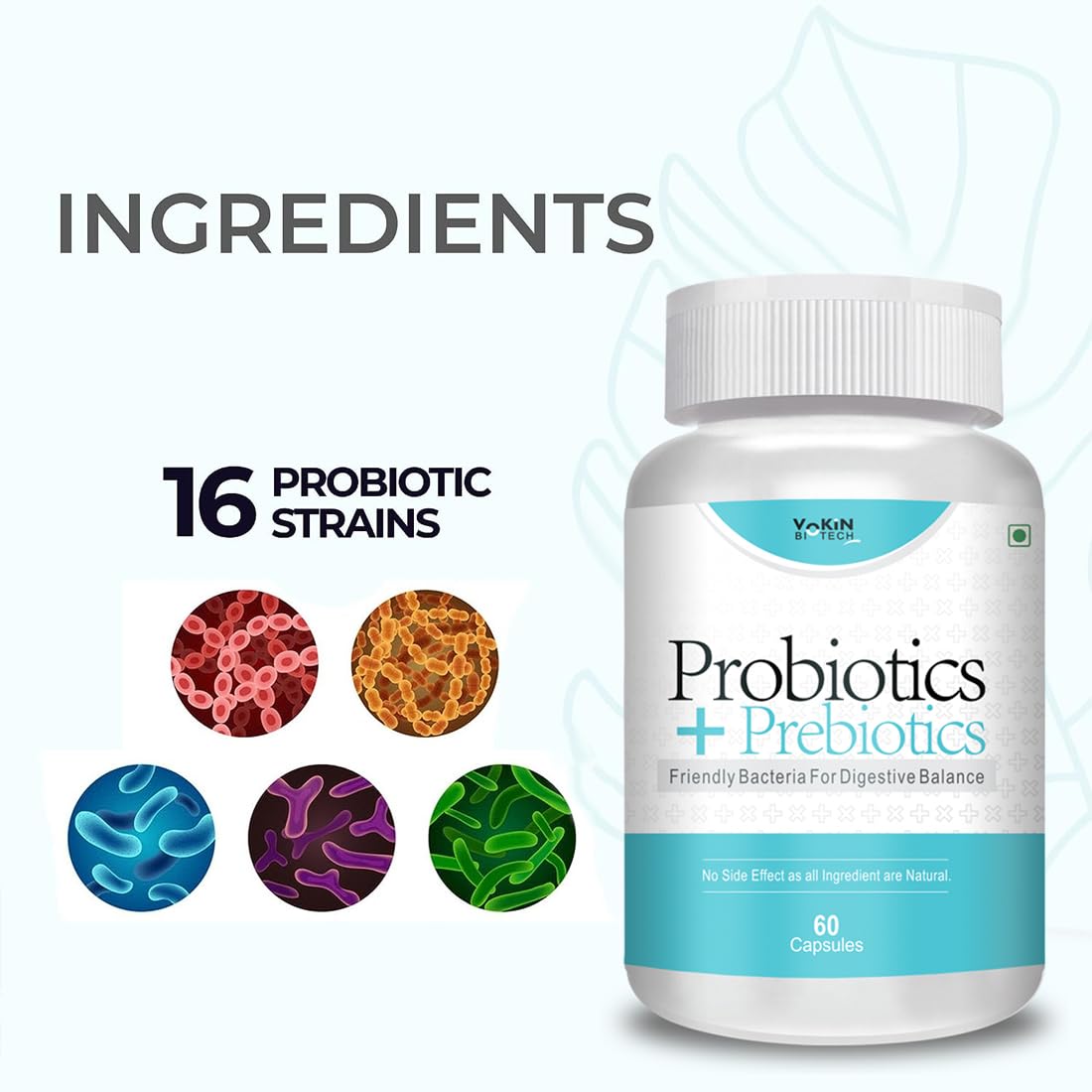 Vokin Biotech Probiotics+ Prebiotics Supplement 50 Billion Cfu For Women & Men With Prebiotics 150 mg | Probiotic Capsules For Digestion Support, Gut Health And Immunity â€“ 60 Veg Capsules