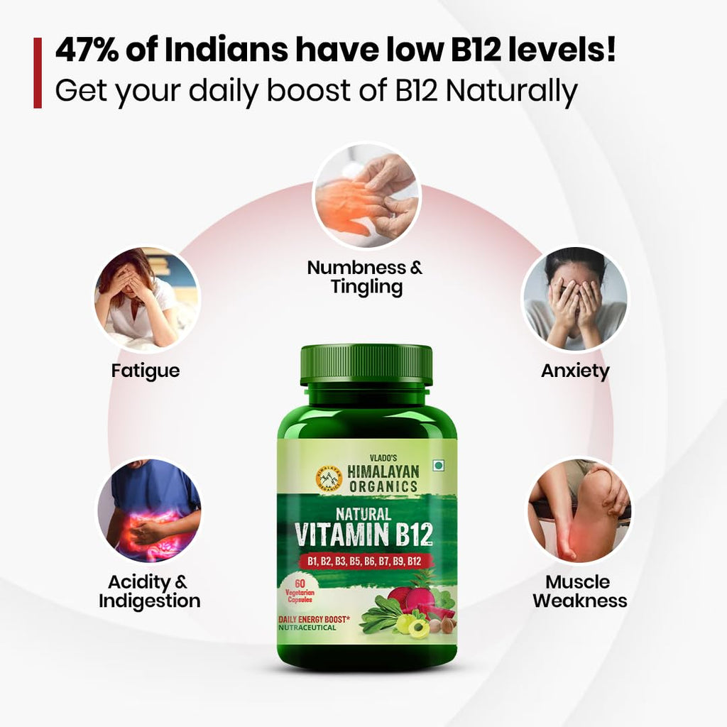 Vladoâ€™s Himalayan Organics Plant-Based Vitamin B12 with B-Complex & Moringa | Energy, Nerve & Brain Support | 60 Veg Capsules