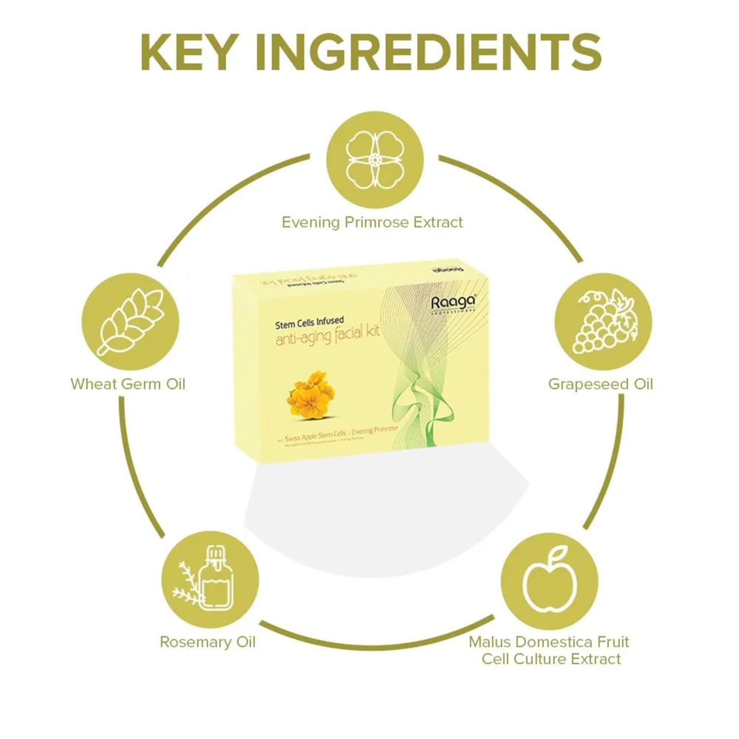 Raaga Professional Stem Cells Cream Infused Anti Aging Facial Kit | Evening Primrose, Swiss Apple Stem Cells | Fights Acne | 6 Step Facial Kit For All Skin Types (61 Gm)