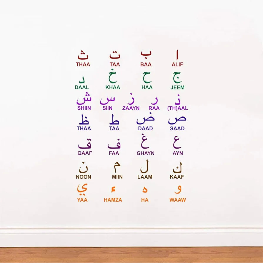 Decal O Decal Vinyl Arabic Alphabets with English Letters Wall Stickers Pack of 1-Self-Adhesive