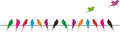 Decals Design Colourful Birds with Long Tail on Wire Wall Sticker
