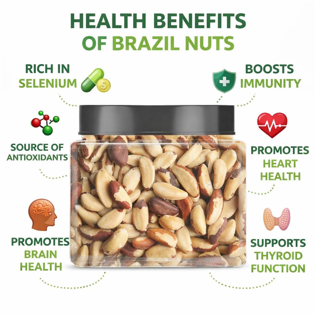 “Hills Organics Premium Raw Brazil Nuts 100g | Rich in Selenium | Superfood | Whole Peru Nuts | Keto Friendly | Jar Pack”