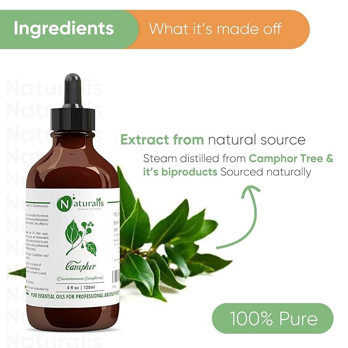 Naturalis Camphor Oil Pure and Natural Steam Distilled - 120 ml