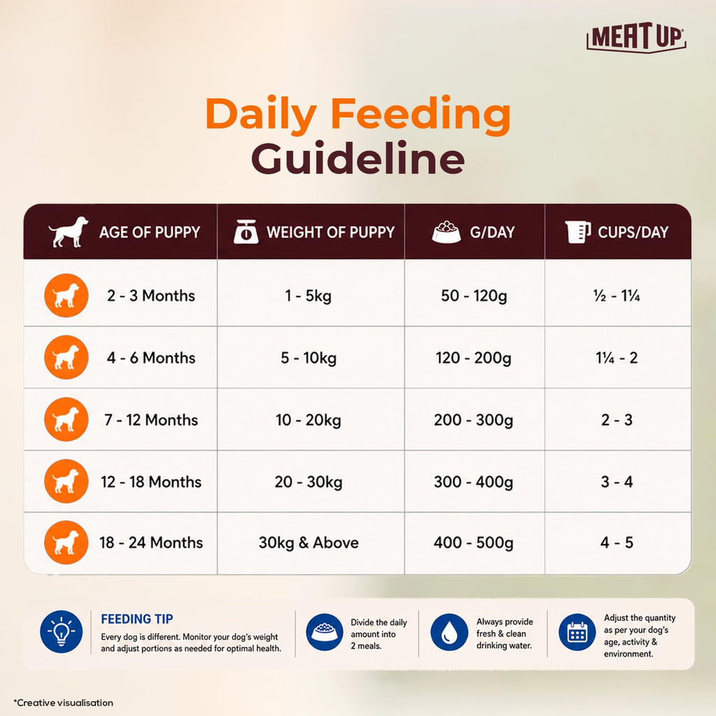 Meat Up Puppy Dry Dog Food, 1.2 kg Pack