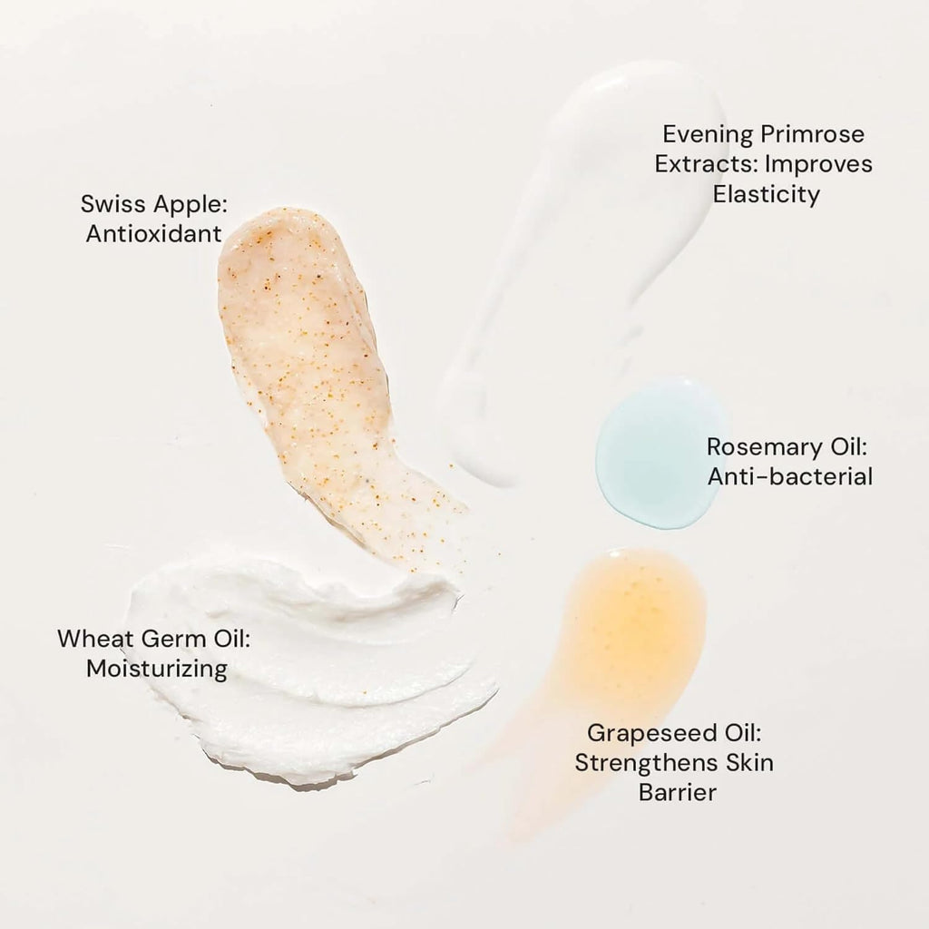 Raaga Professional Stem Cells Cream Infused Anti Aging Facial Kit | Evening Primrose, Swiss Apple Stem Cells | Fights Acne | 6 Step Facial Kit For All Skin Types (61 Gm)