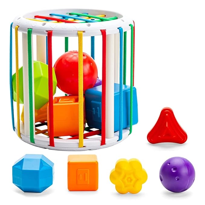 Kidology Baby Cylindrical Shape Sorting Toy