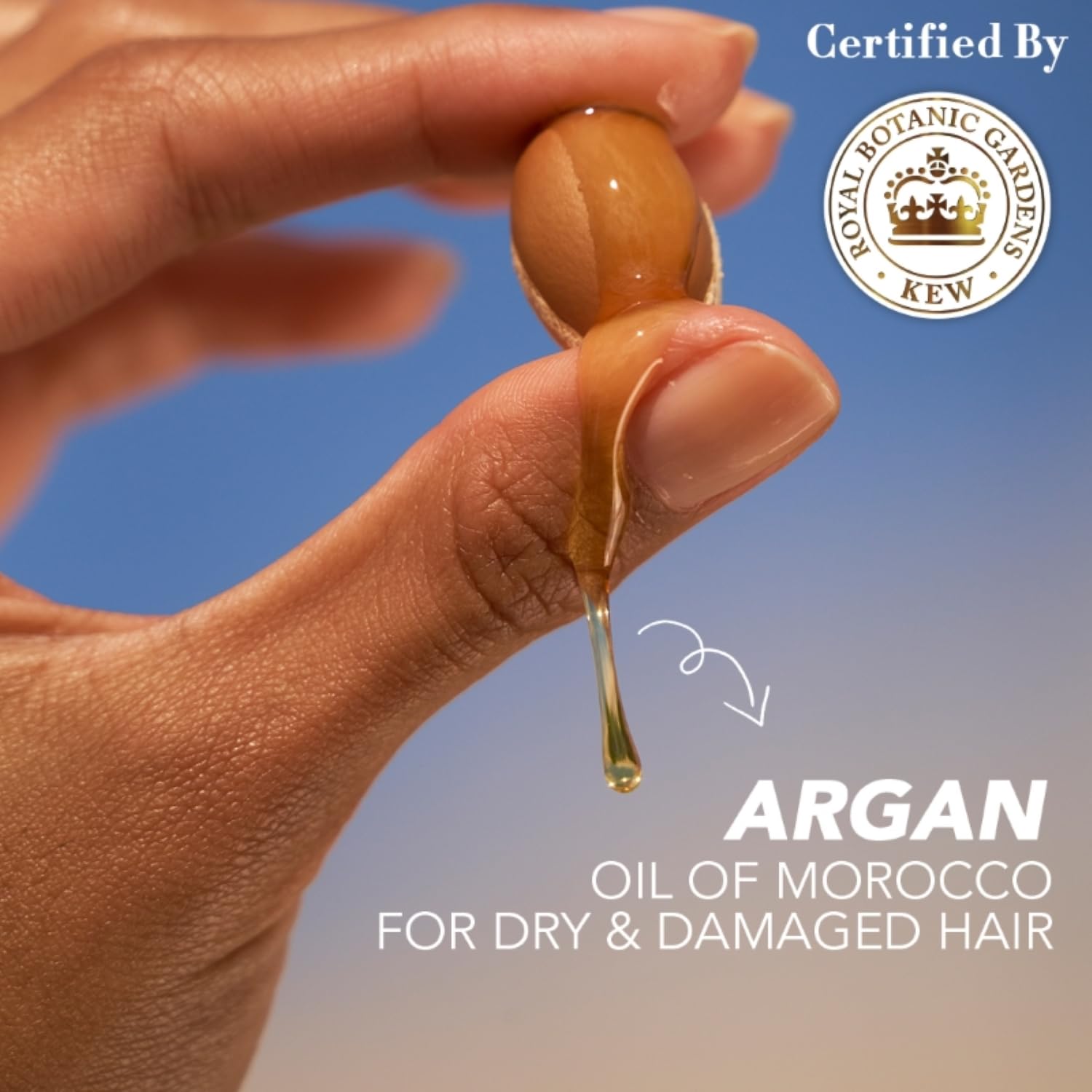 Herbal Essences Moroccan Argan Oil Shampoo - 240 ml