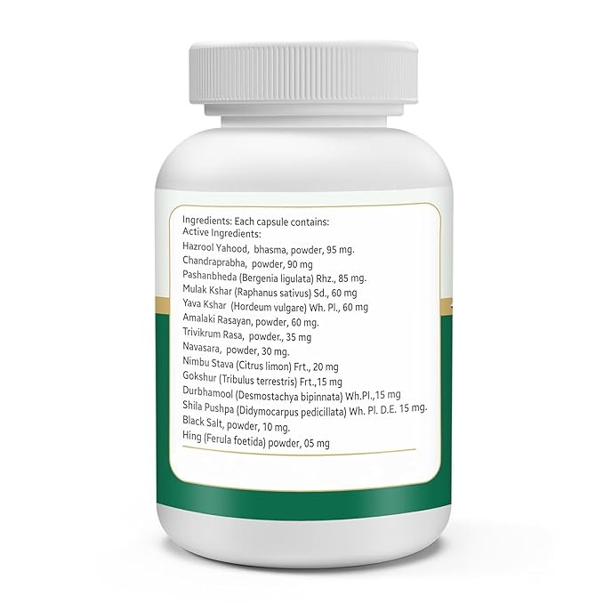 Jeena Sikho Nefron Plus | Herbal Kidney Wellness Capsules - 60 Caps