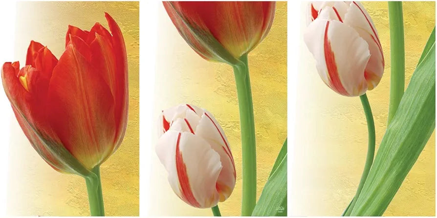 Rangoli MDF 3 Pcs Wall Poster 12x18 Inch Decorative Wall Art P-4 Design-23
