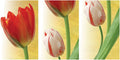 Rangoli MDF 3 Pcs Wall Poster 12x18 Inch Decorative Wall Art P-4 Design-23