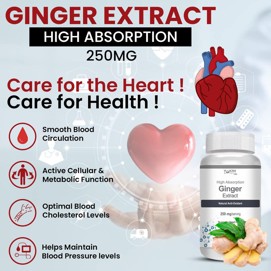 Vokin Biotech Ginger Extract 5% Gingerols Natural Digestion Supplement - Improve Gastrointestinal Health 90 Veg Capsules Pack of 1