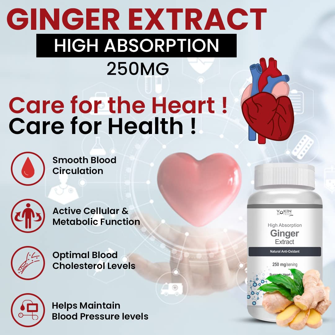 Vokin Biotech Ginger Extract 5% Gingerols Natural Digestion Supplement - Improve Gastrointestinal Health 90 Veg Capsules Pack of 1
