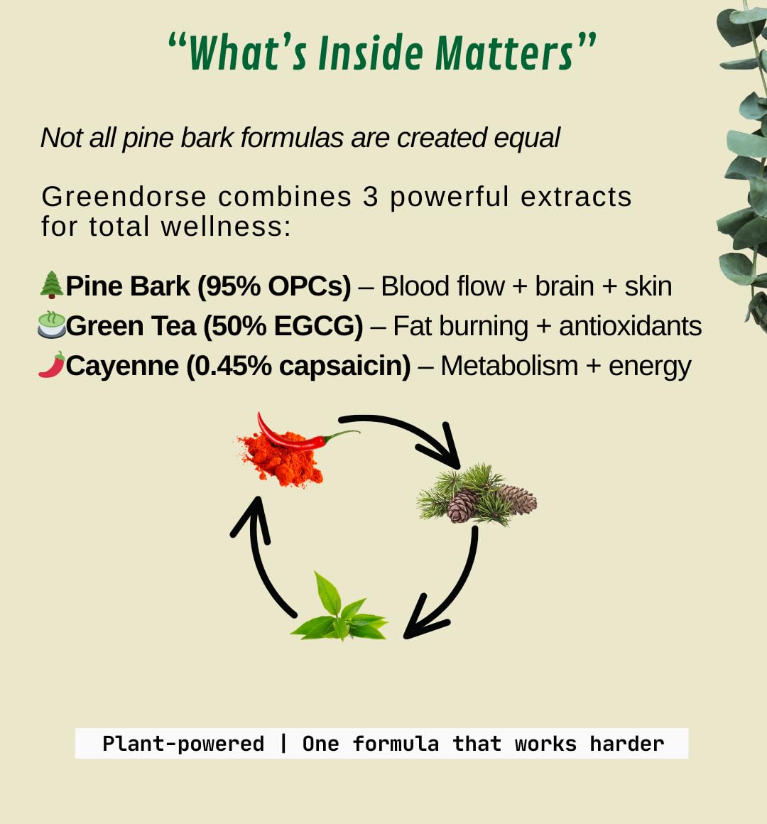 GREENDORSE Pine Bark Extract | 95% Proanthocyanidins with Green Tea Extract (50% EGCG) & Cayenne Pepper | Supports Blood Flow, Nitric Oxide & Antioxidant Defense | Premium Circulatory Formula | 60 Veg Capsules