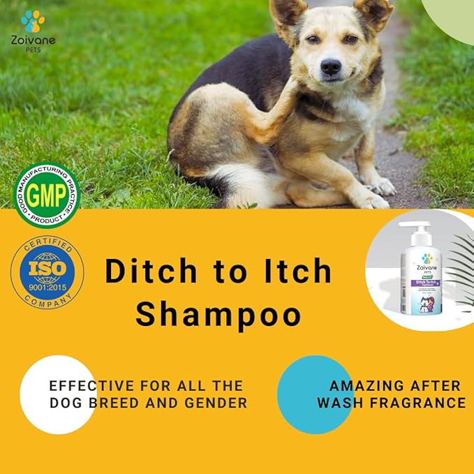 Zoivane Dog Shampoo | Ditch to Itch & Dog Anti Dandruff Shampoo - 300 Ml | Pack of 1