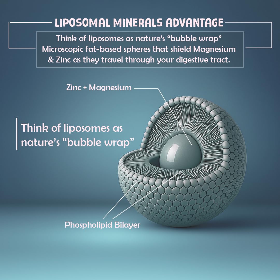 BeastLife Liposomal ZMA | Zinc Magnesium Aspartate Capsules | Ultra Absorption | Muscle Repair, Sleep Quality, Stress & Mood Balance | Metabolic & Immune Support | 60 Capsules