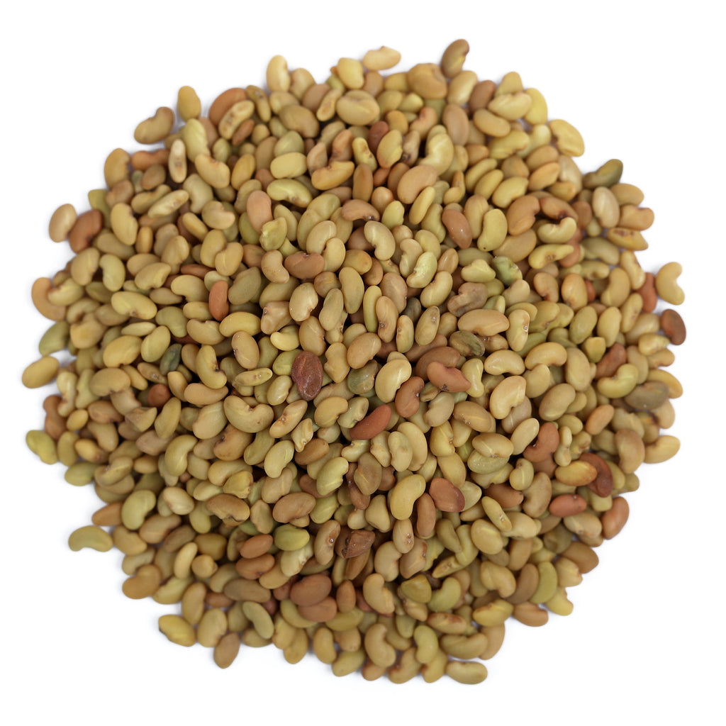 Yuvika Alfa Seeds - Alfalfa Seeds