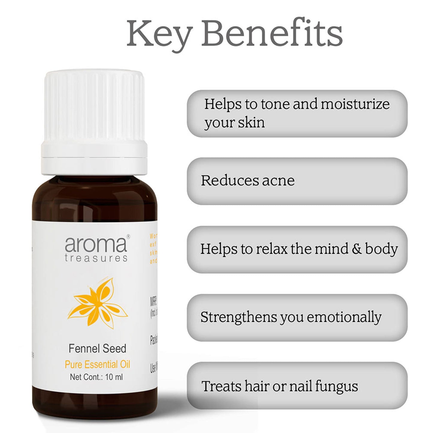 Aroma Treasures Fennel Seed Pure Essential Oil