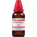 Dr. Willmar Schwabe India Solidago Virgaurea Mother Tincture Q