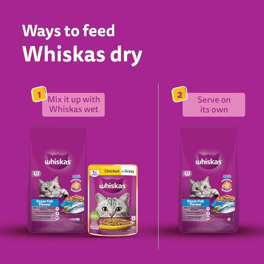 Whiskas Adult (1+ Years) Dry Cat Food, Ocean Fish Flavour, 480 g, Contains 41 Essential Nutrients, Complete & Balanced Nutrition for Adult Cats