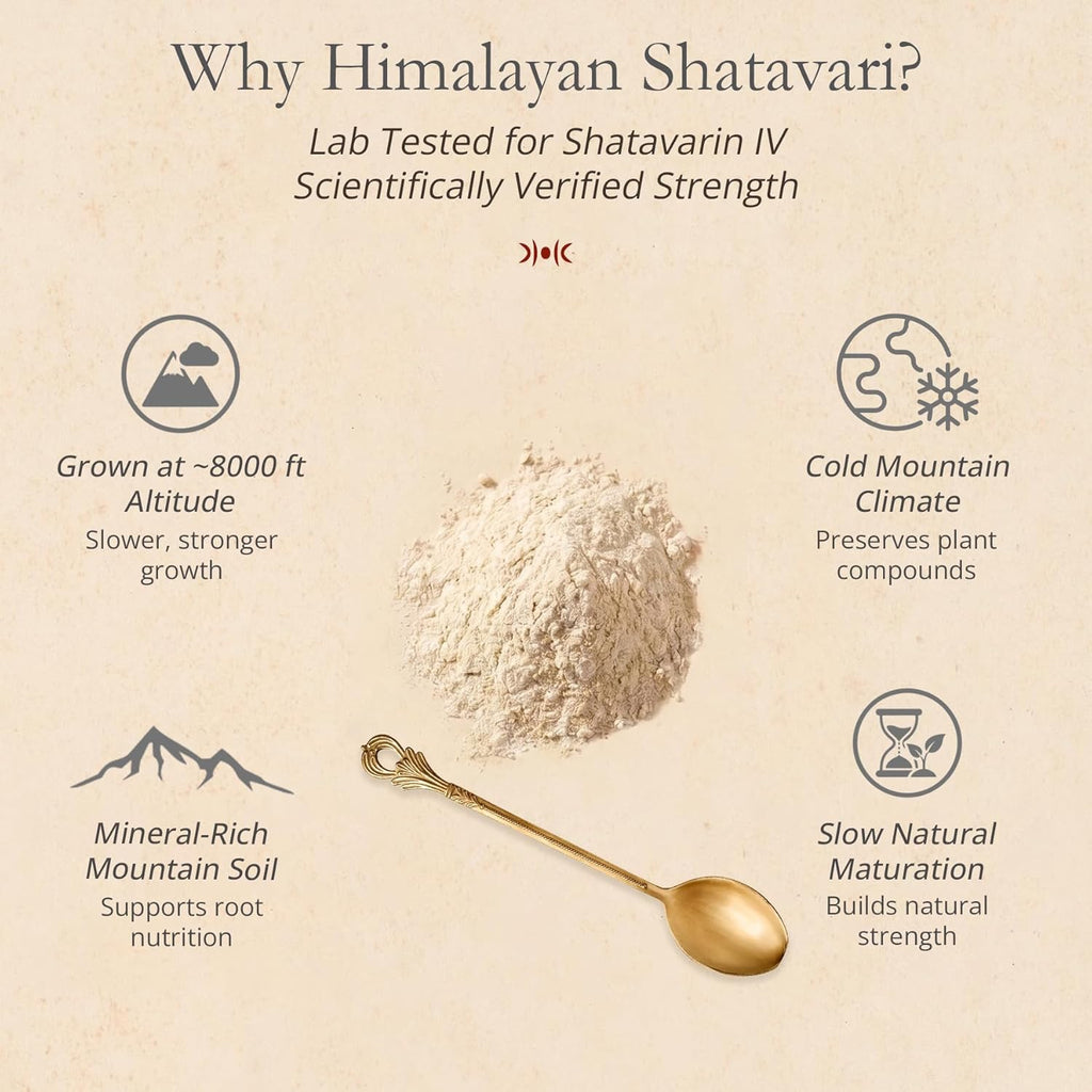 Himalayan Shatavari Powder - 80g | 100% Natural & Organic | Supports Womenâ€™s Health & Hormonal Balance, Lactation, PCOS & PMS | Immunity & Vitality Booster | No Preservatives | Lab Tested