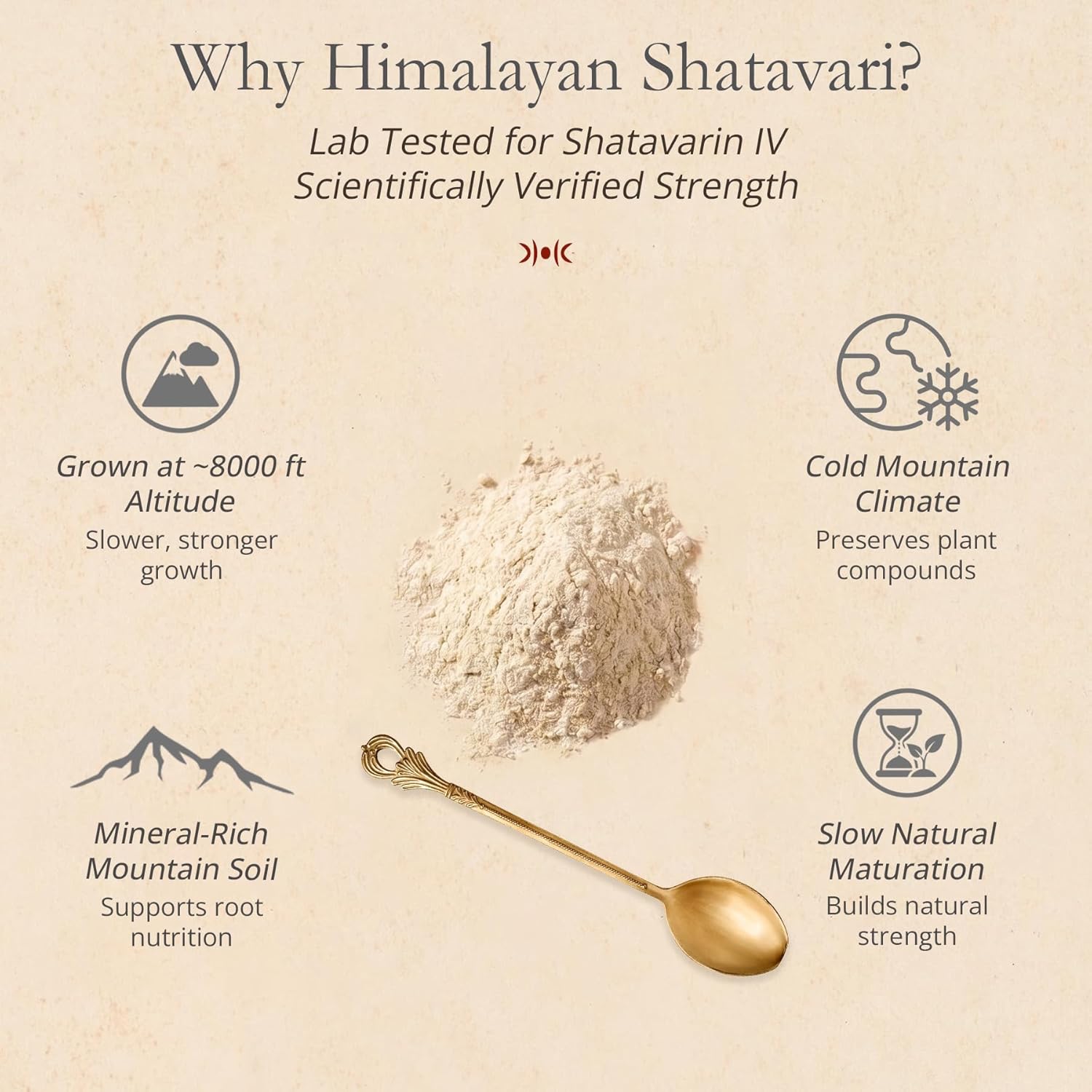 Himalayan Shatavari Powder - 80g | 100% Natural & Organic | Supports Womenâ€™s Health & Hormonal Balance, Lactation, PCOS & PMS | Immunity & Vitality Booster | No Preservatives | Lab Tested