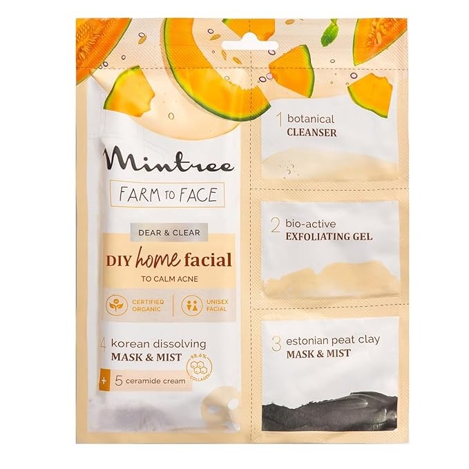Mintree Organic Muskmelon Brightening at Home Facial Kit
