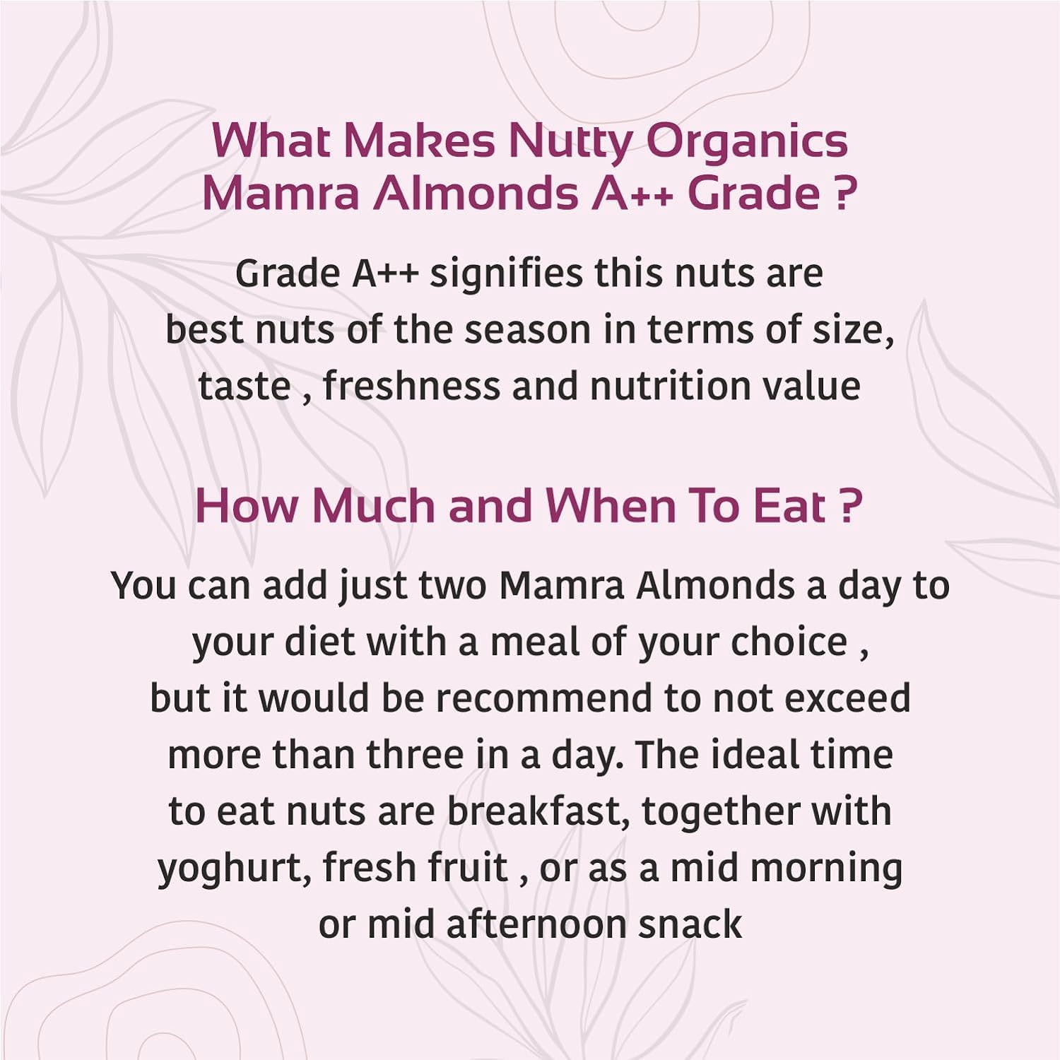 Nutty Organics Almonds Mamra (Grade A ++ Nuts, Premium,Rich In Oil, Imported) Richest Natural Source of Vitamins, Magnesium & Protien | Special Mamra Badam Giri
