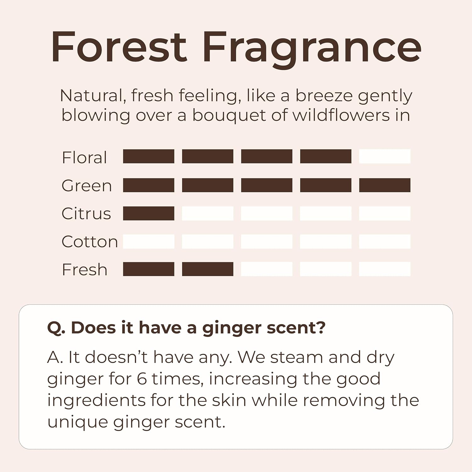 GINGER6 Hand Cream 60ml | 67.6% Ginger Extract Water | Shea Butter & 8 Natural Oils | 8 Hyaluronic Acids Moisturizing | Peptide & Mineral Complex | EWG Green Grade | Green Forest Scent Hydrating Care