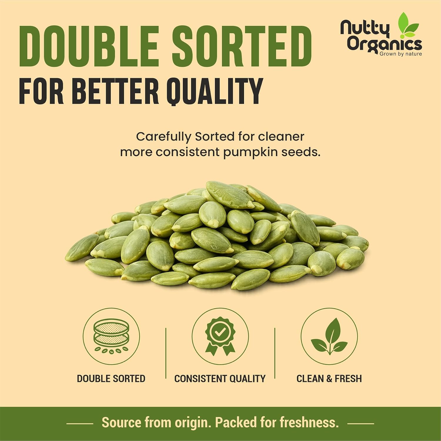 NUTTY ORGANICS Natural Pumpkin Seeds 200GM | Raw Pumpkin Seeds for Eating- Immunity Booster and Protein Rich Seeds | Healthy Diet Snacks | Weight Management