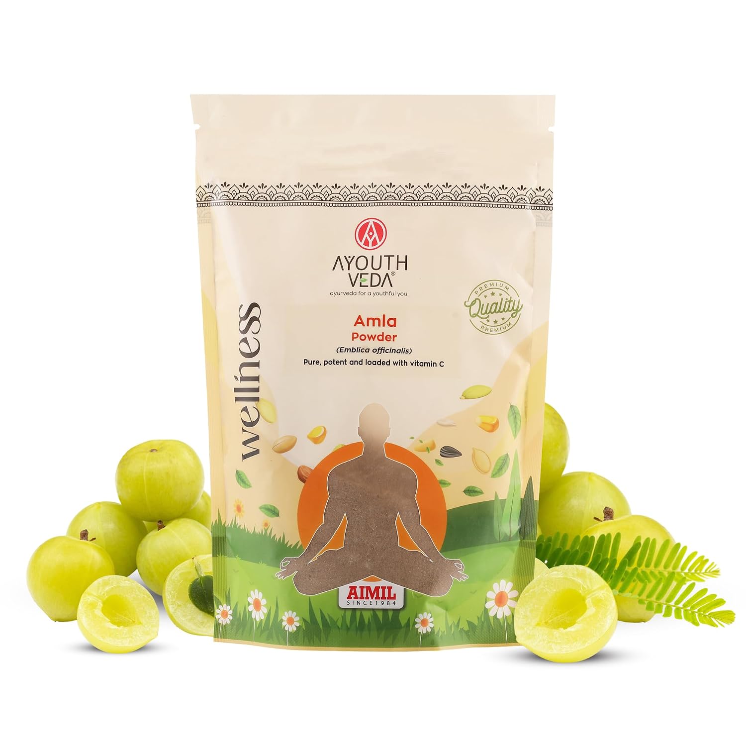 Ayouthveda Amla Powder – Indian Gooseberry for Immunity, Hair, and Skin Wellness - Net Qty: 200