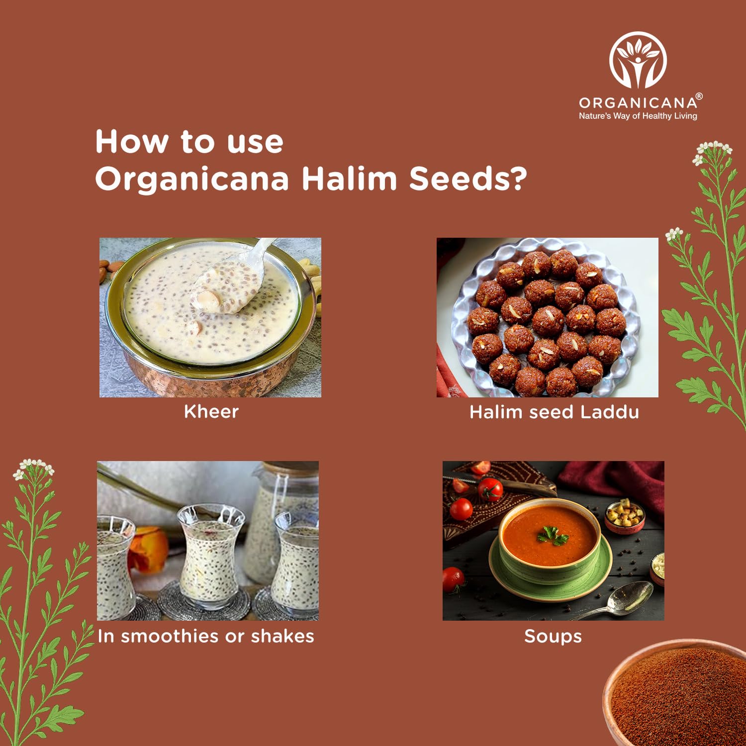 Organicana Halim Seeds 500g (Pack of 1)- Garden Cress | Aliv Seed | Asaliya | High in Fibre and Omega 3 | Garden Cress | Asalia | Haleem seed | Immunity Booster Superfood