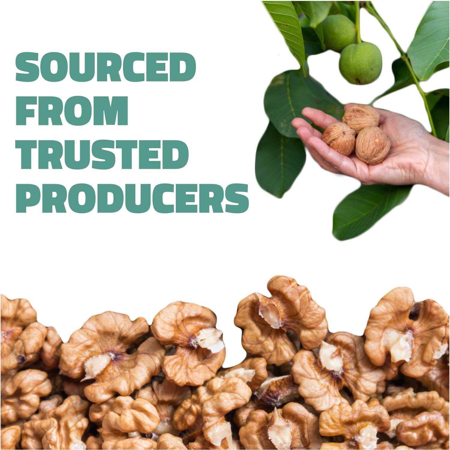 Farmley Walnut Broken Kernels | 250 g | Walnuts Without Shell, Akhrot, Dry Fruits, 100% Natural Akhrot, Rich in Proteins & Antioxidants (Pack Of 1)