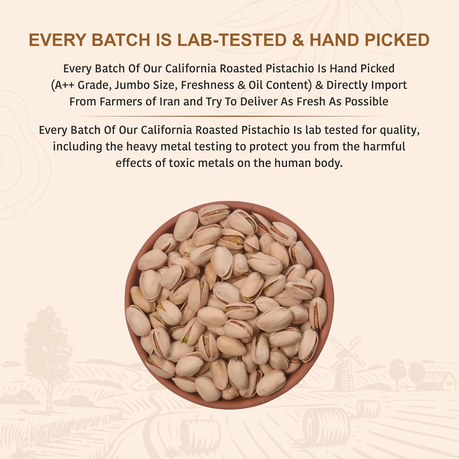 Nutty Organics California Roasted Pistachios 250 GM | Hand Selected Jumbo | Nutritious Tasty & Healthy Nuts Dry Fruits | Rich in Protein