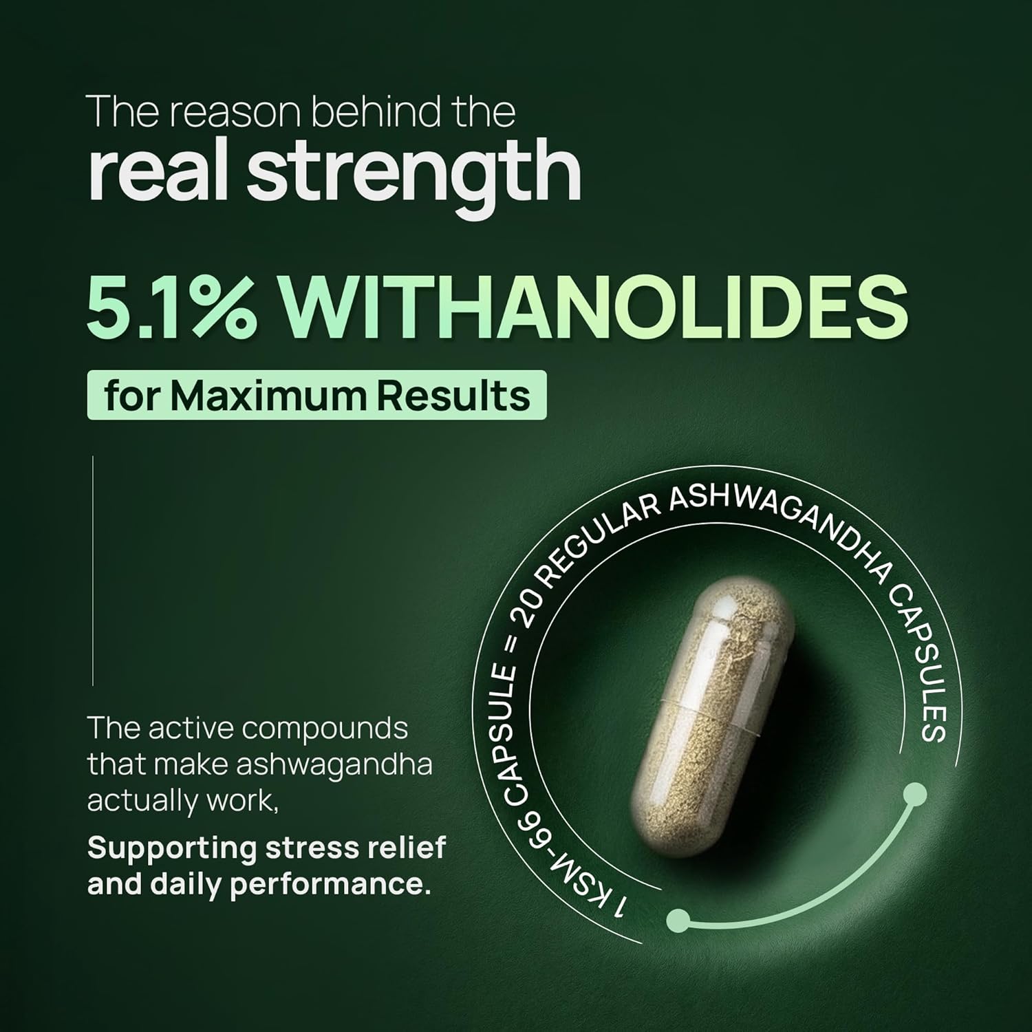 Rasayanam Ashwagandha KSM-66Â® | Clinically Proven 600mg Dosage | 5.1% Withanolides for Max Results | 100% Pure Root Extract | Stress Relief, Energy & Recovery Support | Worldâ€™s Strongest Ashwagandha | 60 Capsules